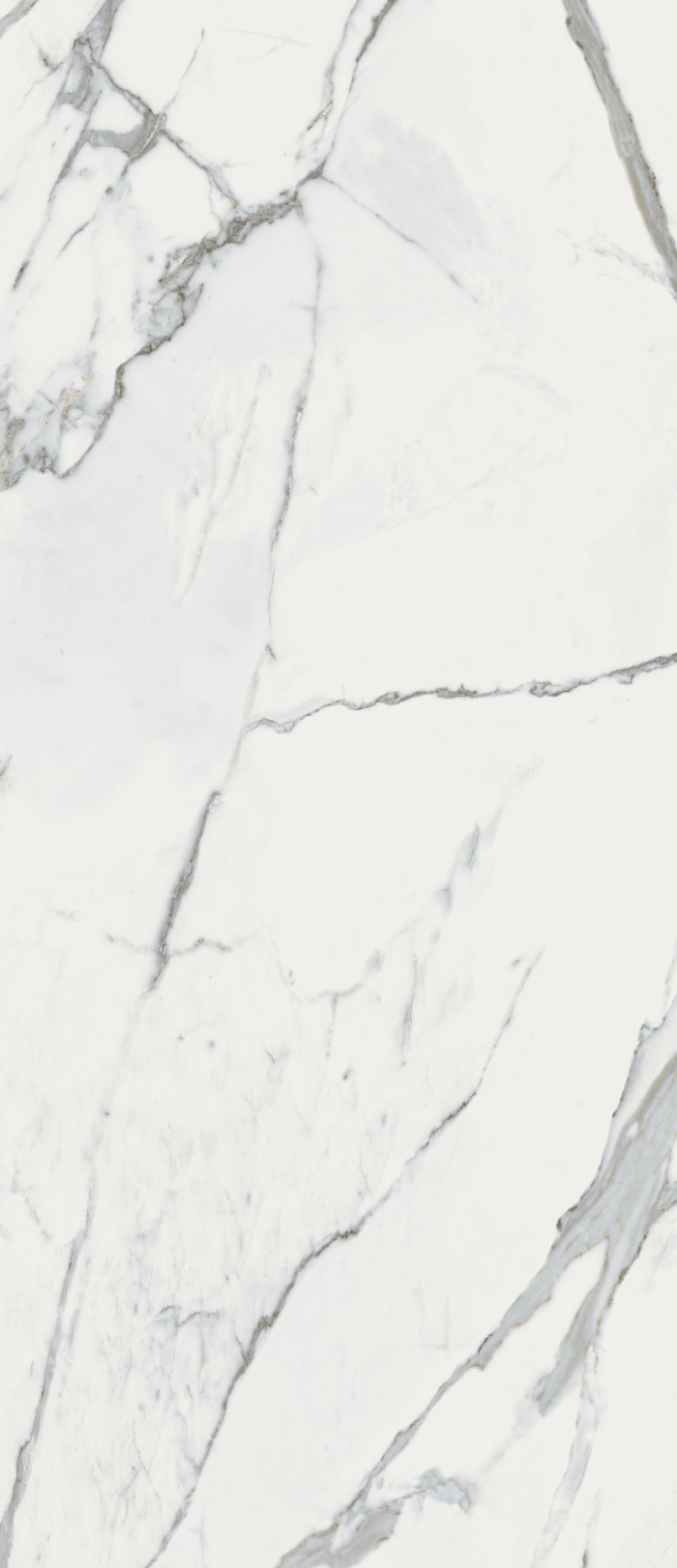 Керамогранит Fondovalle Calacatta White Honed 120x278 INF1182