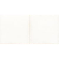 Плитка настінна Rako Retro WARMB521 White 20x40