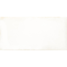 Плитка настенная Rako Retro WARMB520 White 20x40